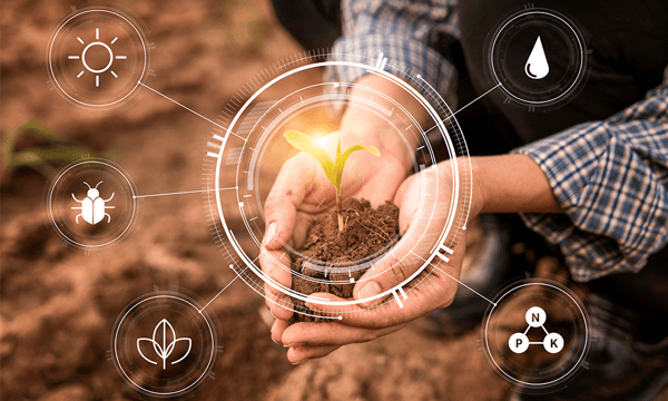 Día Mundial Contra el Hambre 2023 – Cómo el IoT ayuda en la lucha contra el hambre