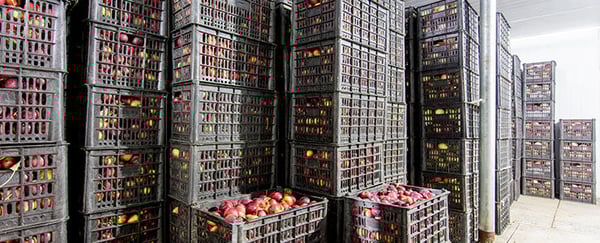 De top 6 vragen over LTE-M connectiviteit ontrafeld